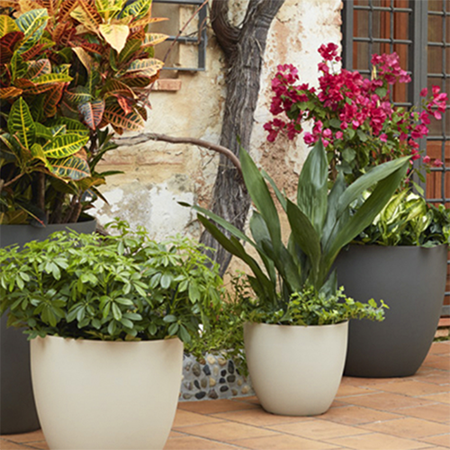 INICIO menaje de jardineria